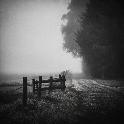 Foggy Lost Path