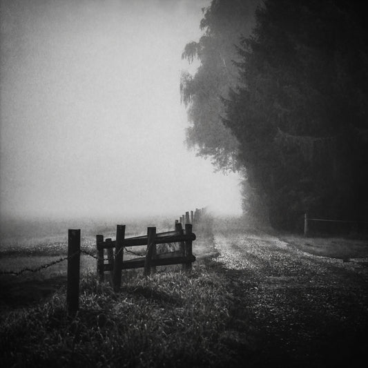 Foggy Lost Path