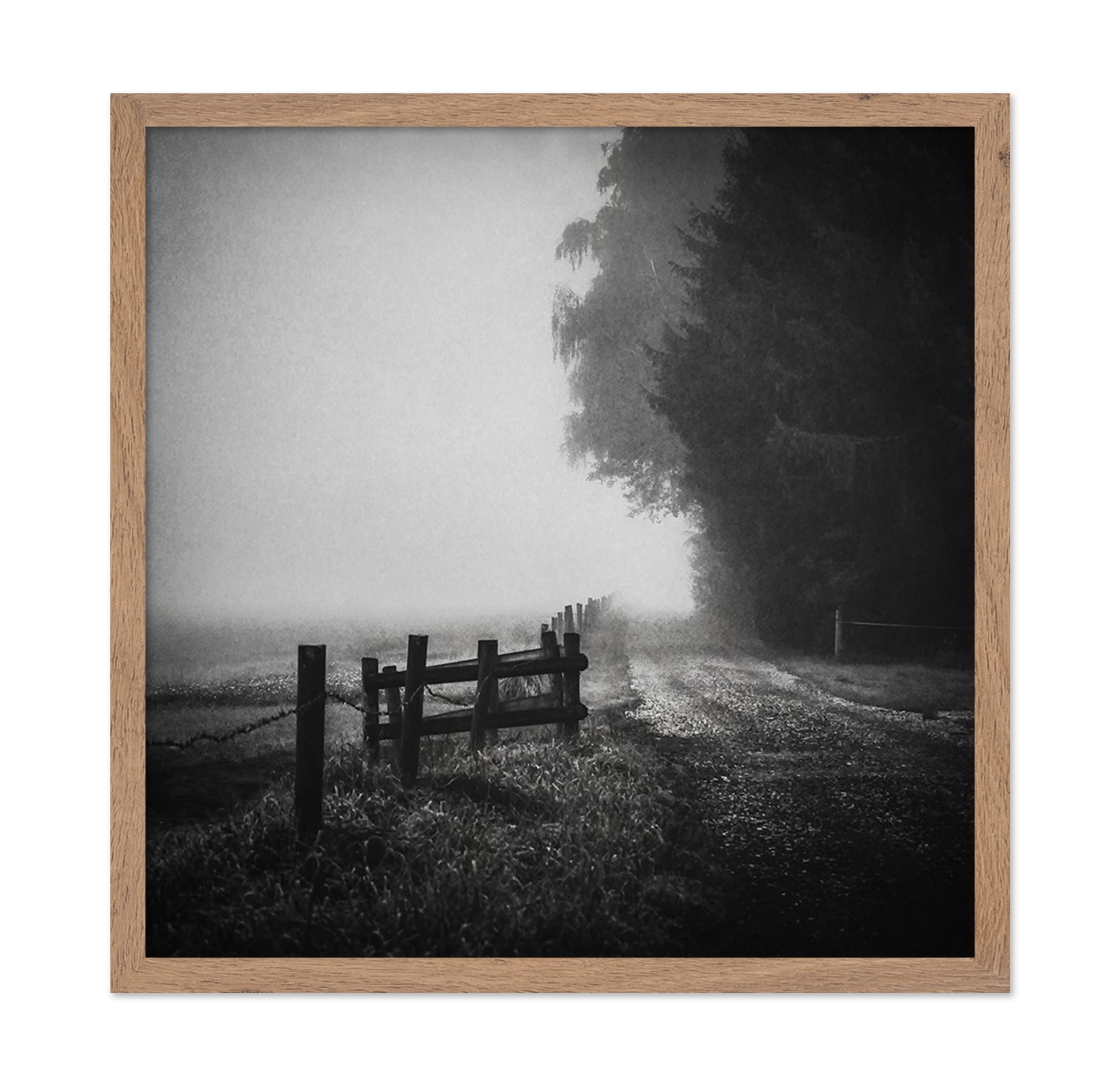 Foggy Lost Path