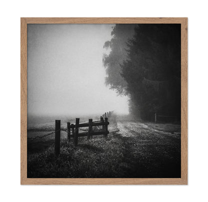Foggy Lost Path