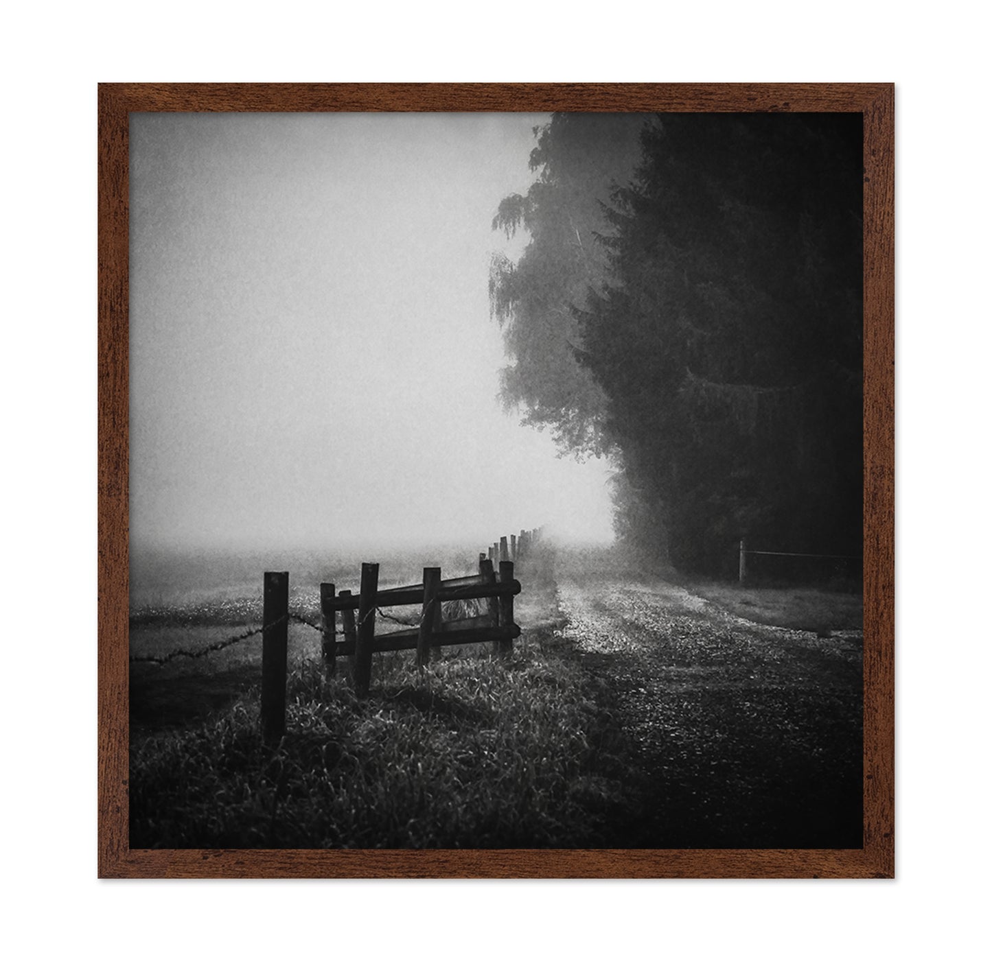 Foggy Lost Path