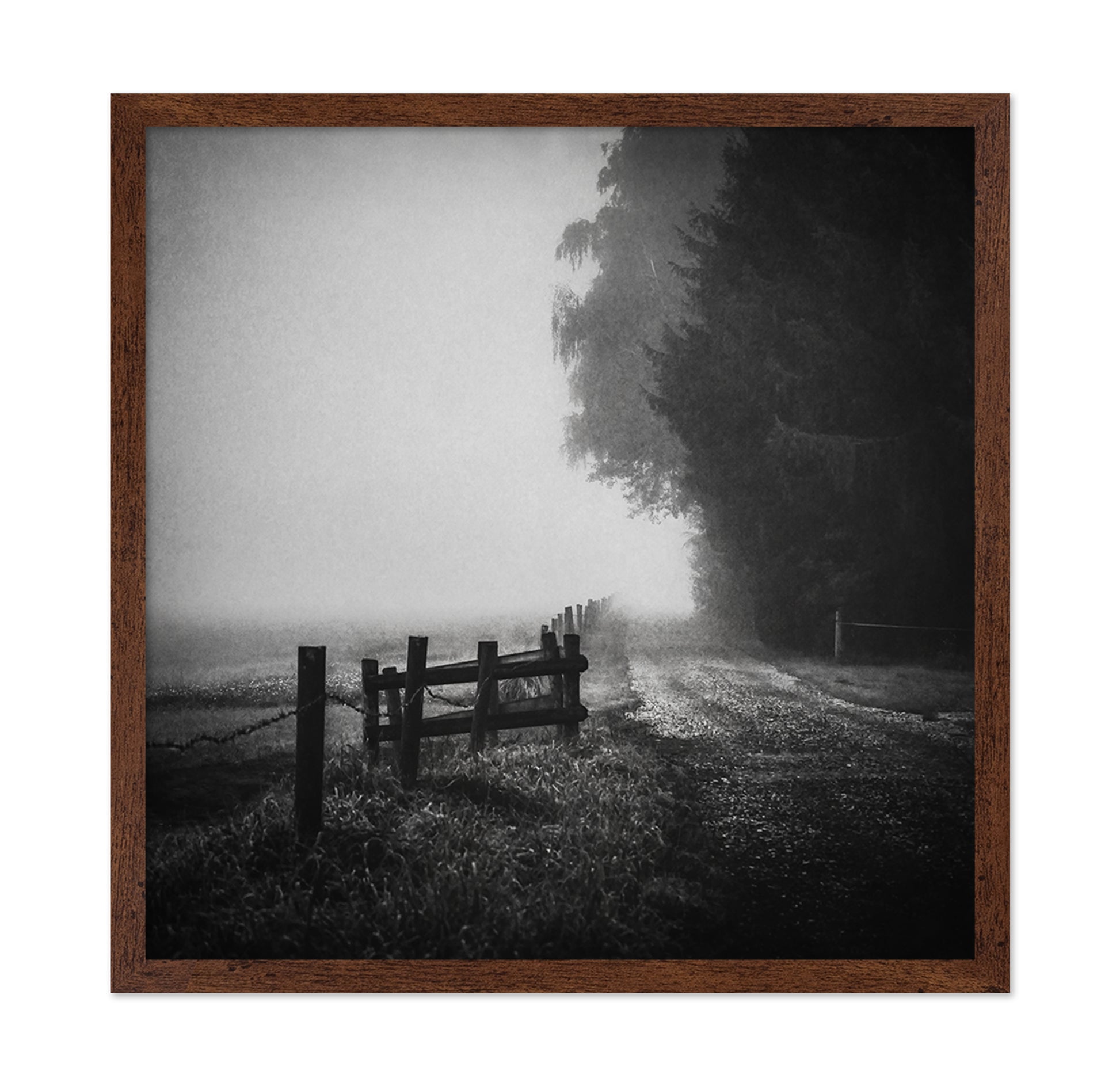 Foggy Lost Path
