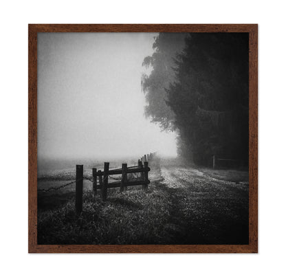 Foggy Lost Path