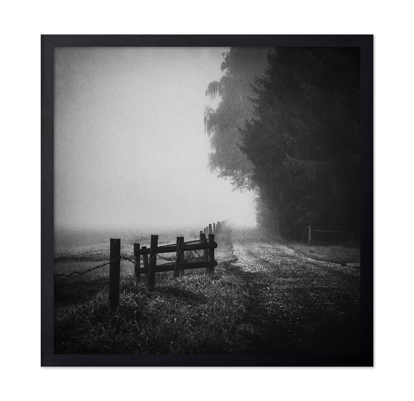 Foggy Lost Path