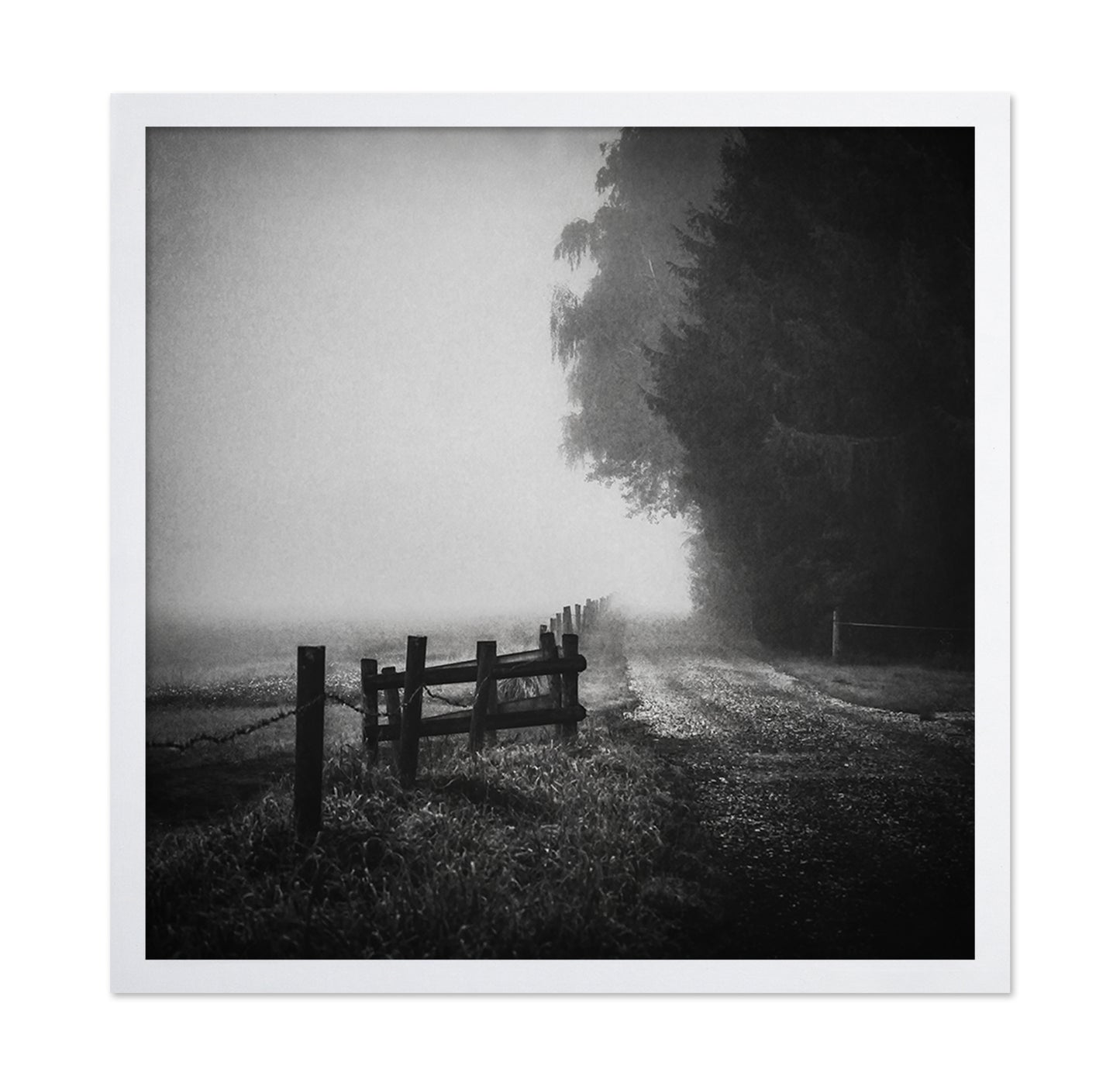 Foggy Lost Path