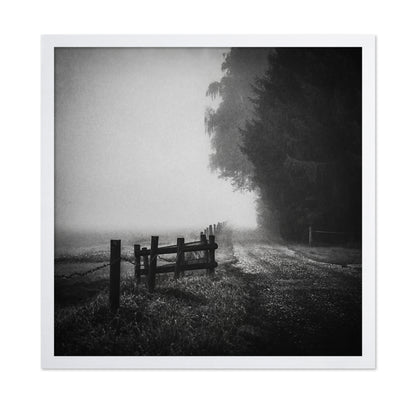 Foggy Lost Path