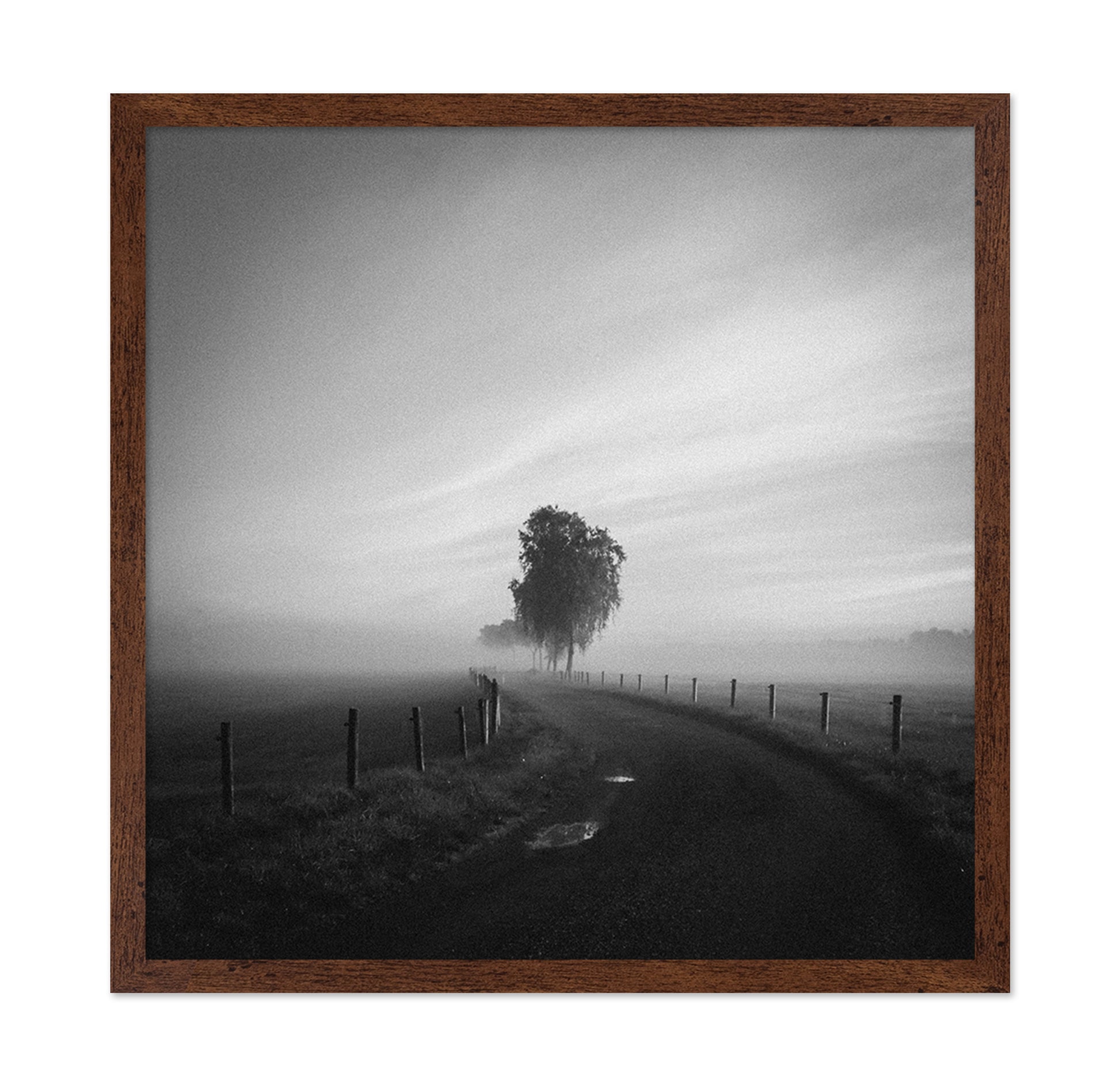 Path to the Lone Tree