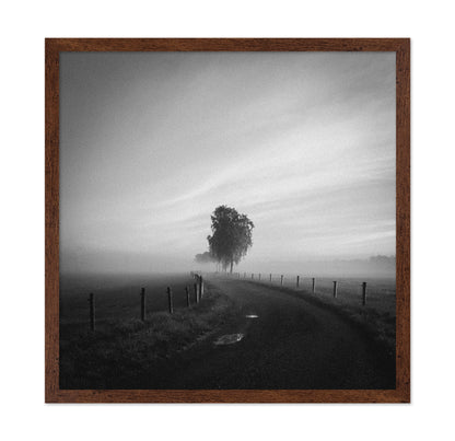 Path to the Lone Tree