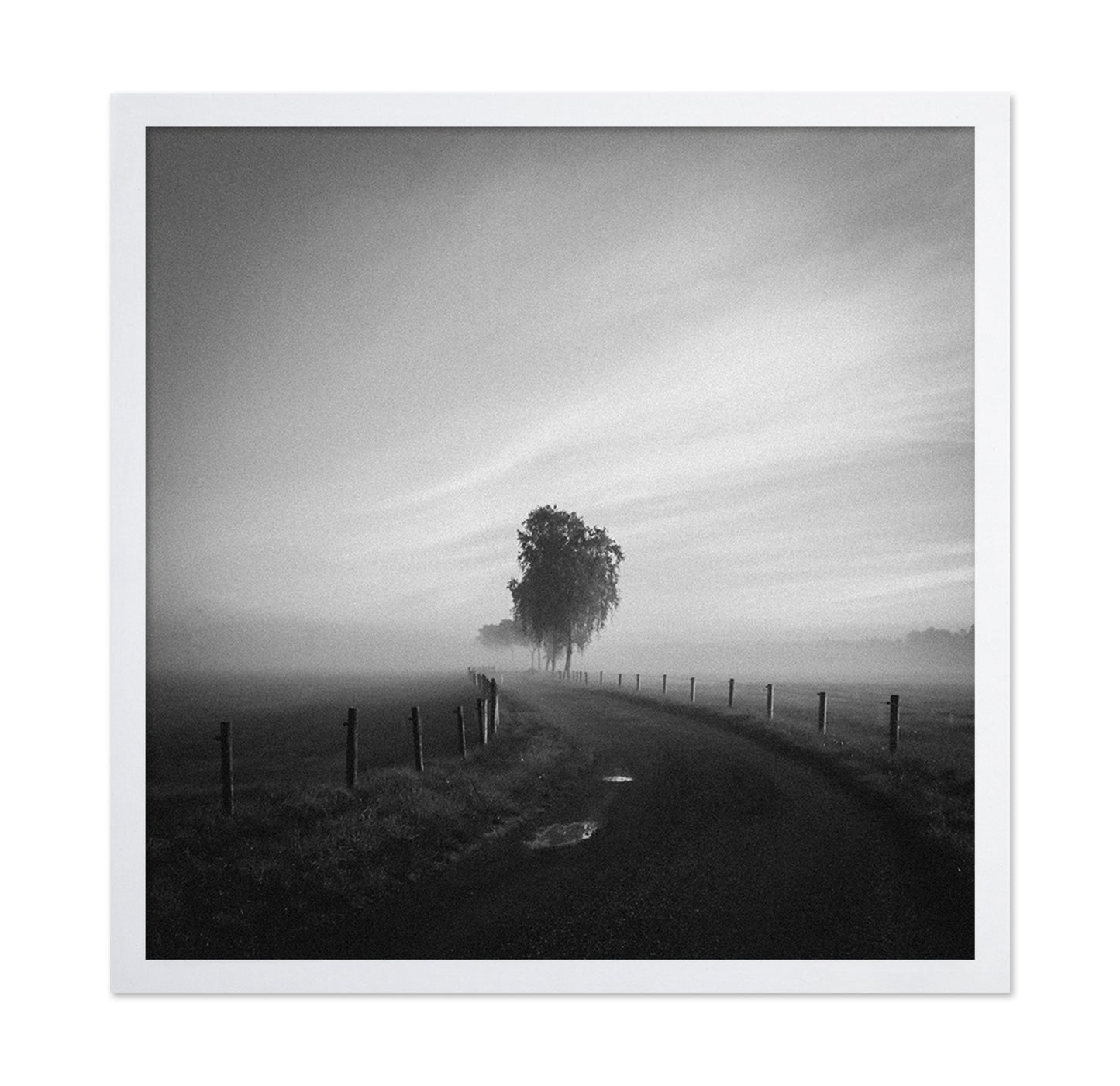 Path to the Lone Tree