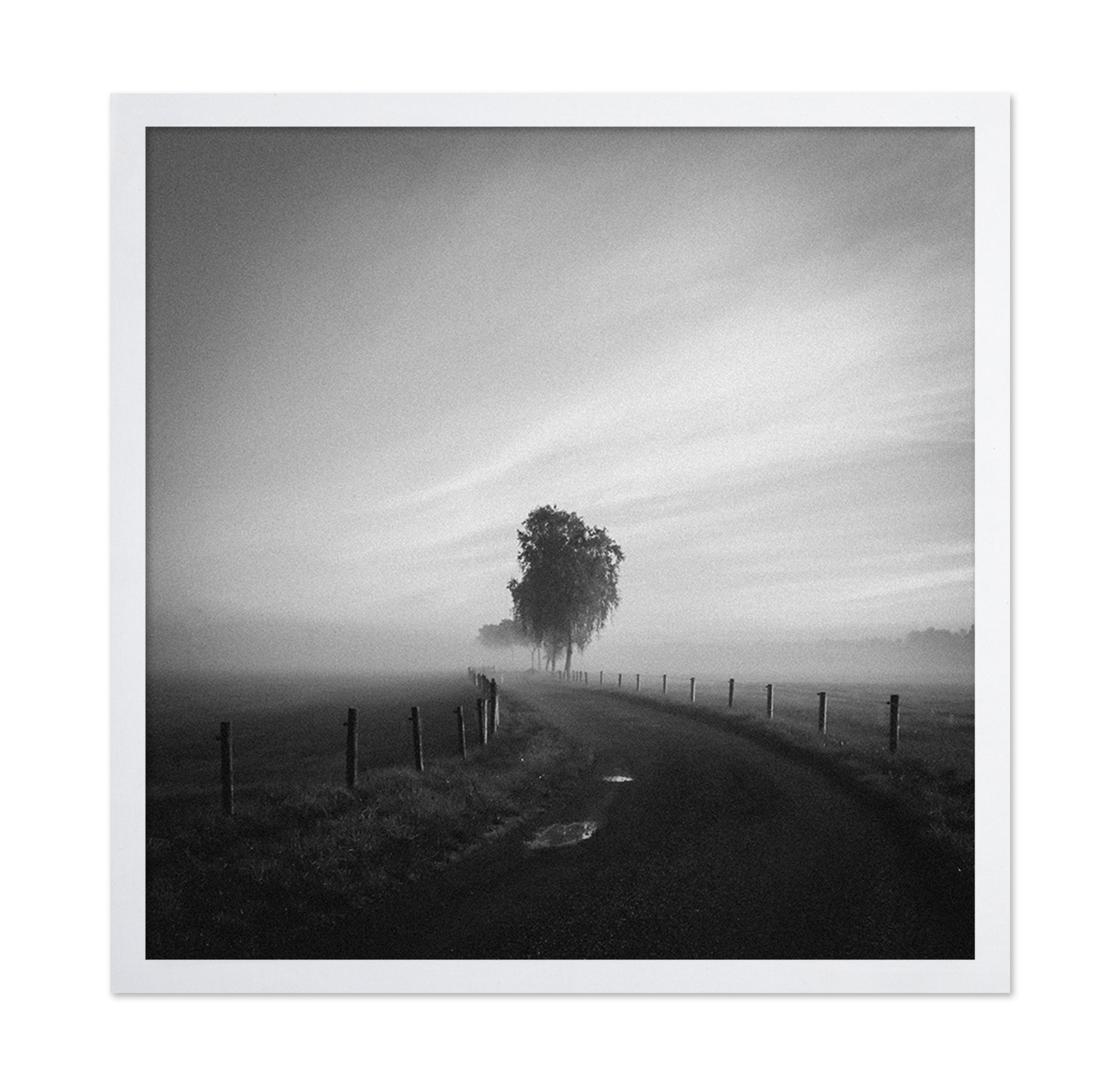 Path to the Lone Tree