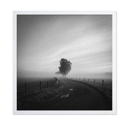 Path to the Lone Tree