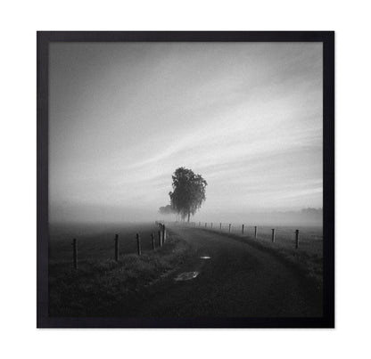 Path to the Lone Tree
