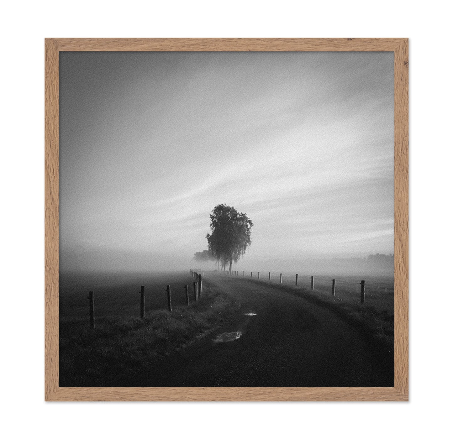 Path to the Lone Tree