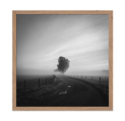 Path to the Lone Tree