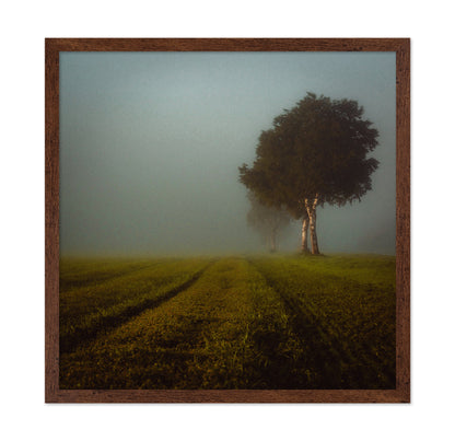 Misty Autumn Field