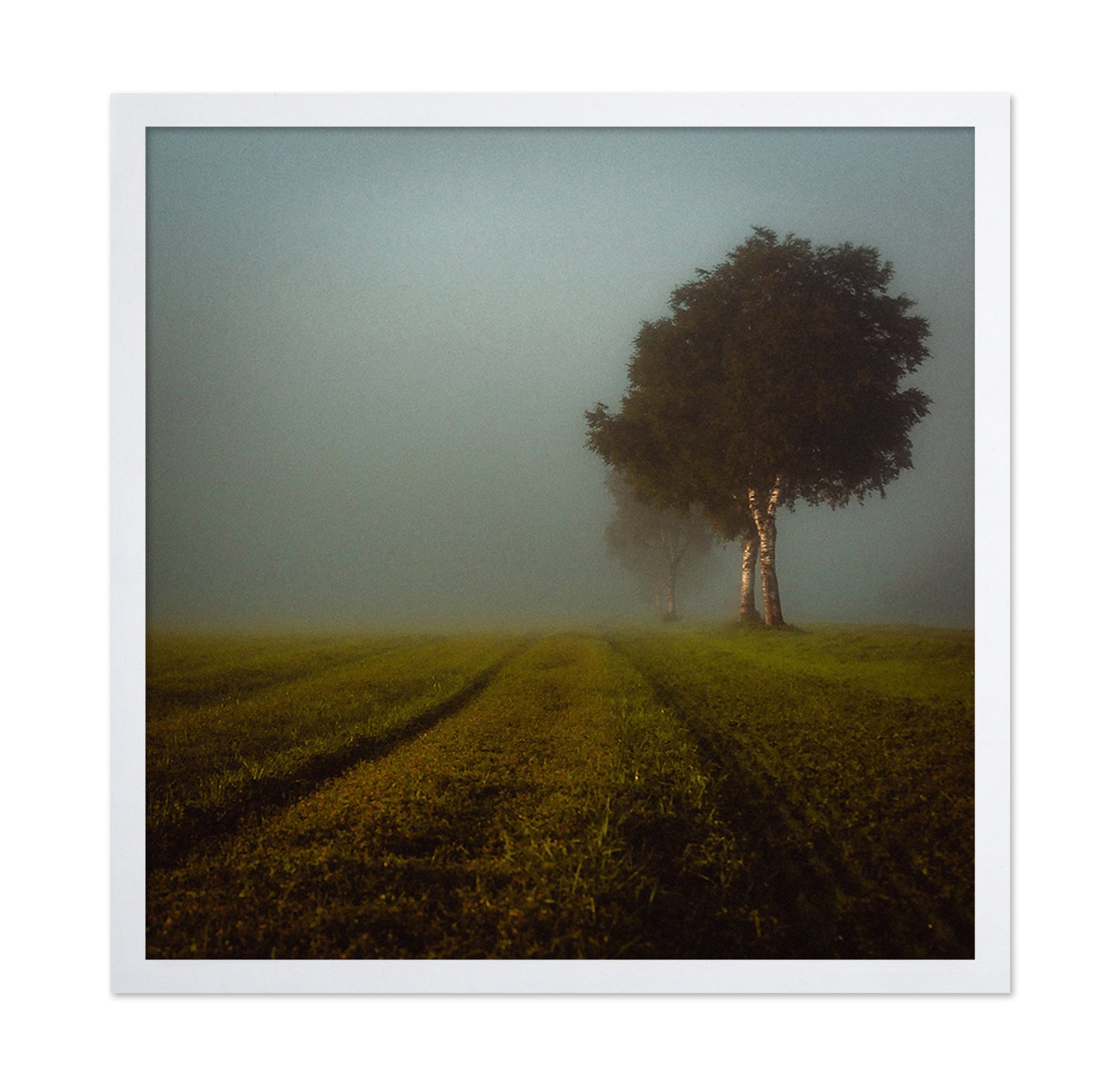 Misty Autumn Field