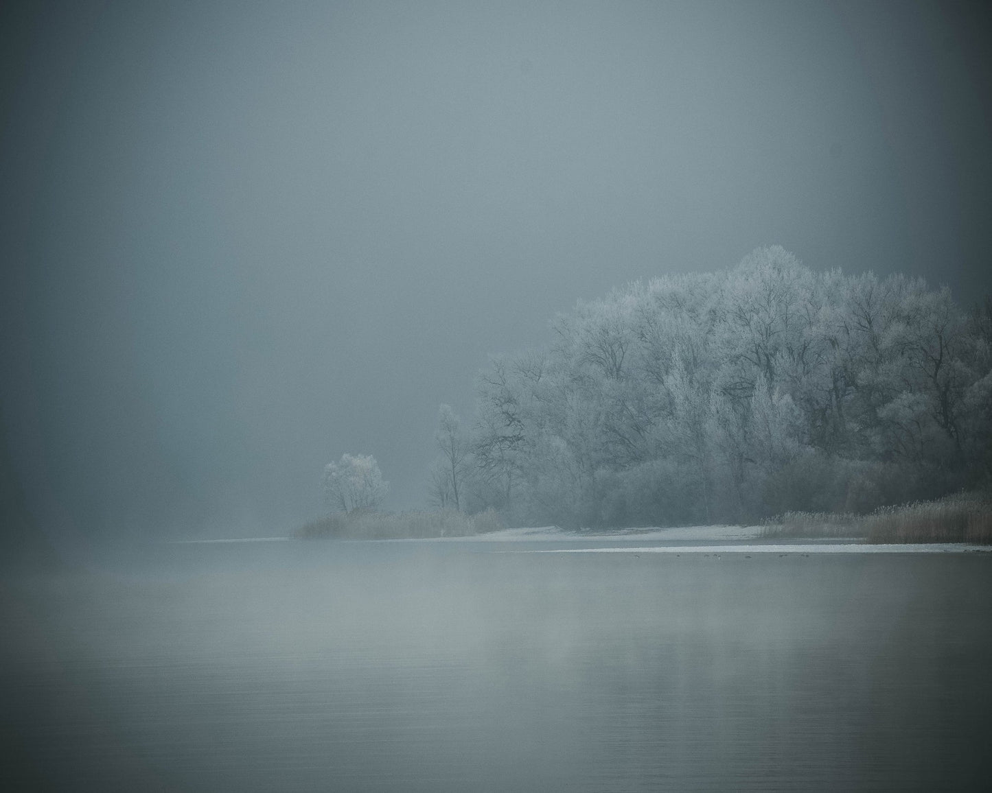 Foggy Winter Lake