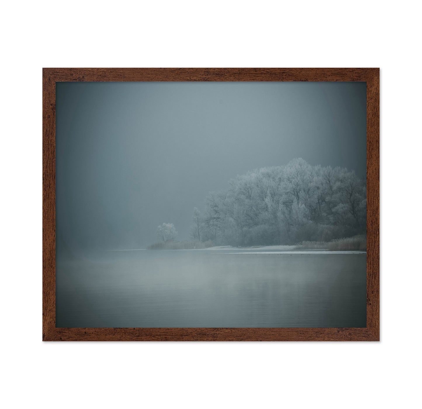 Foggy Winter Lake