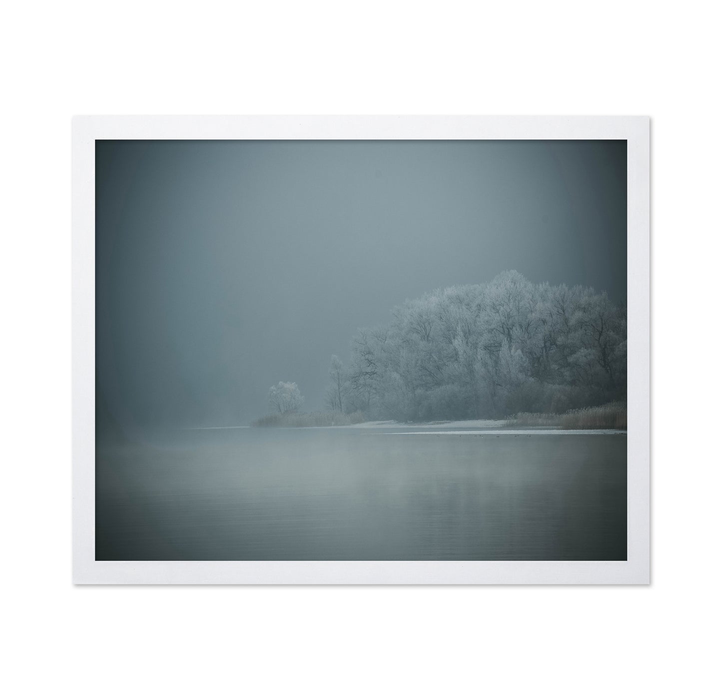 Foggy Winter Lake
