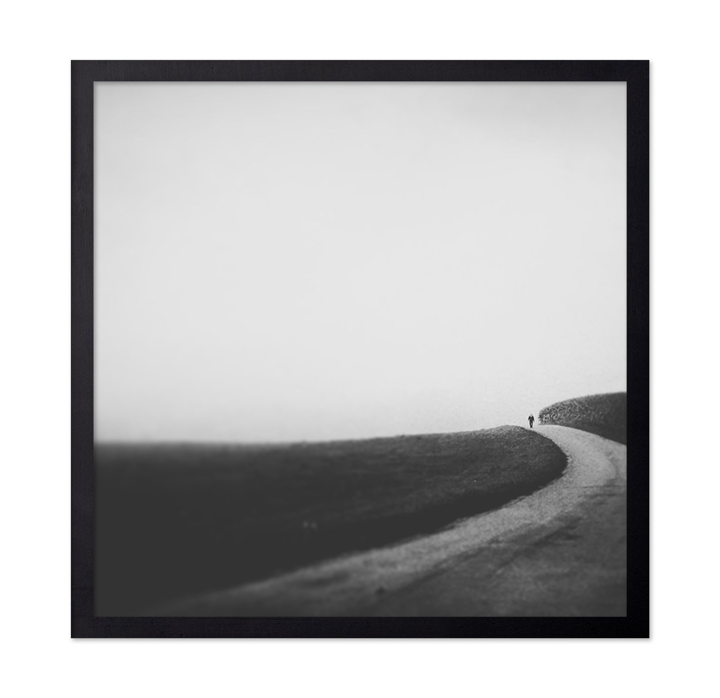 Lone Walk in September