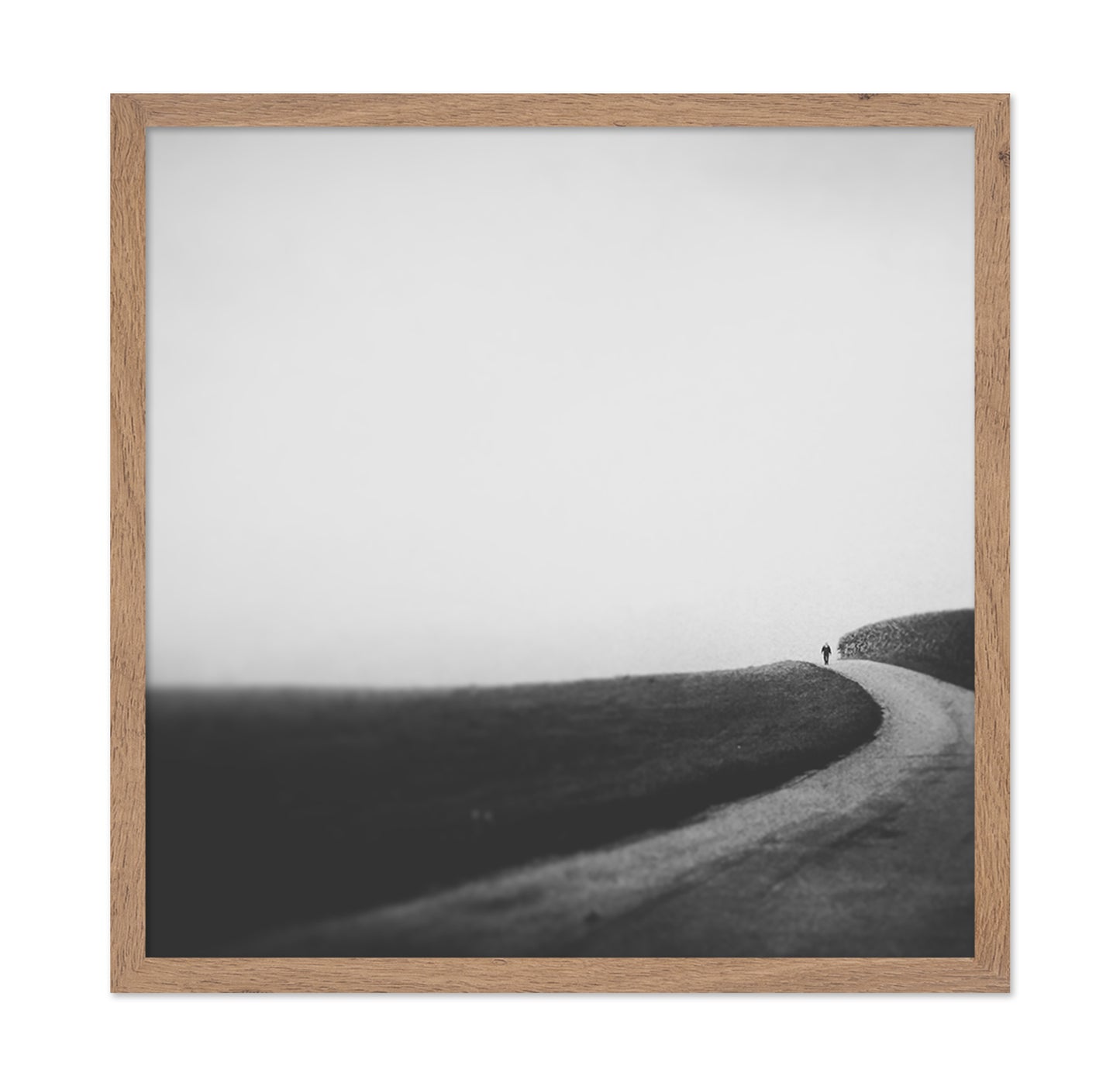 Lone Walk in September
