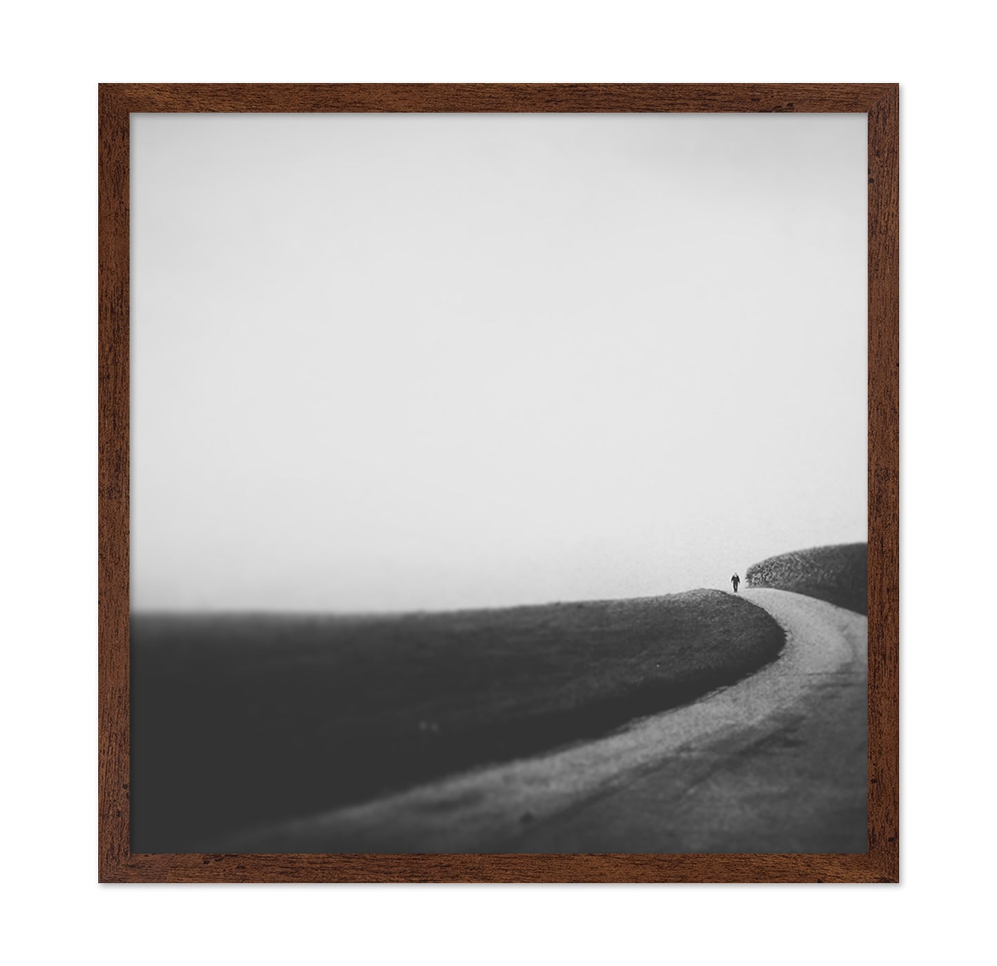 Lone Walk in September