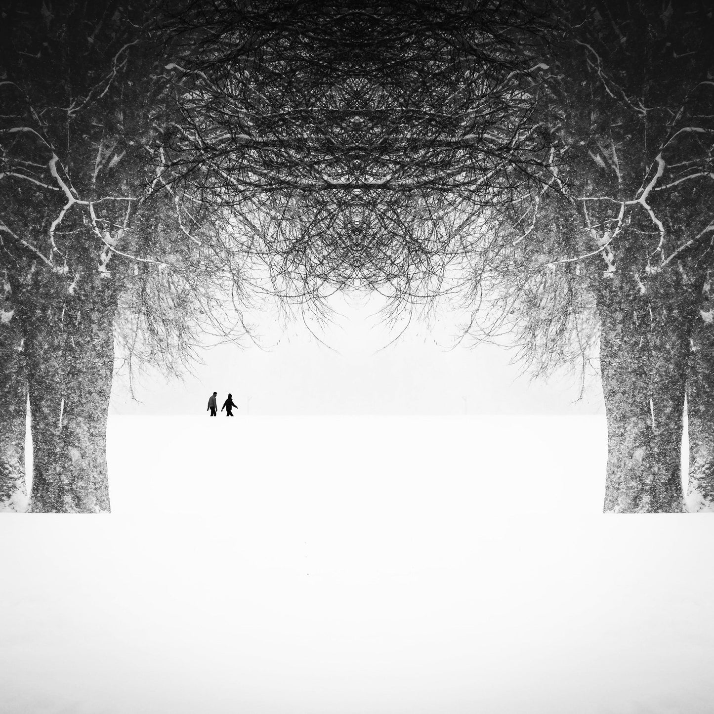 Winter Symmetry Walk