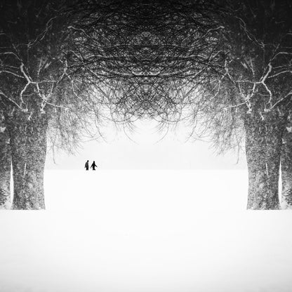 Winter Symmetry Walk