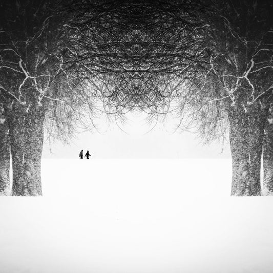 Winter Symmetry Walk