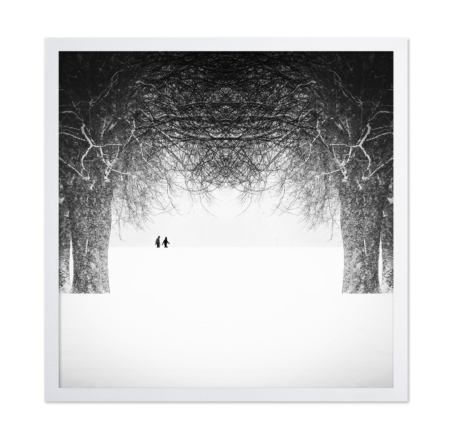 Winter Symmetry Walk