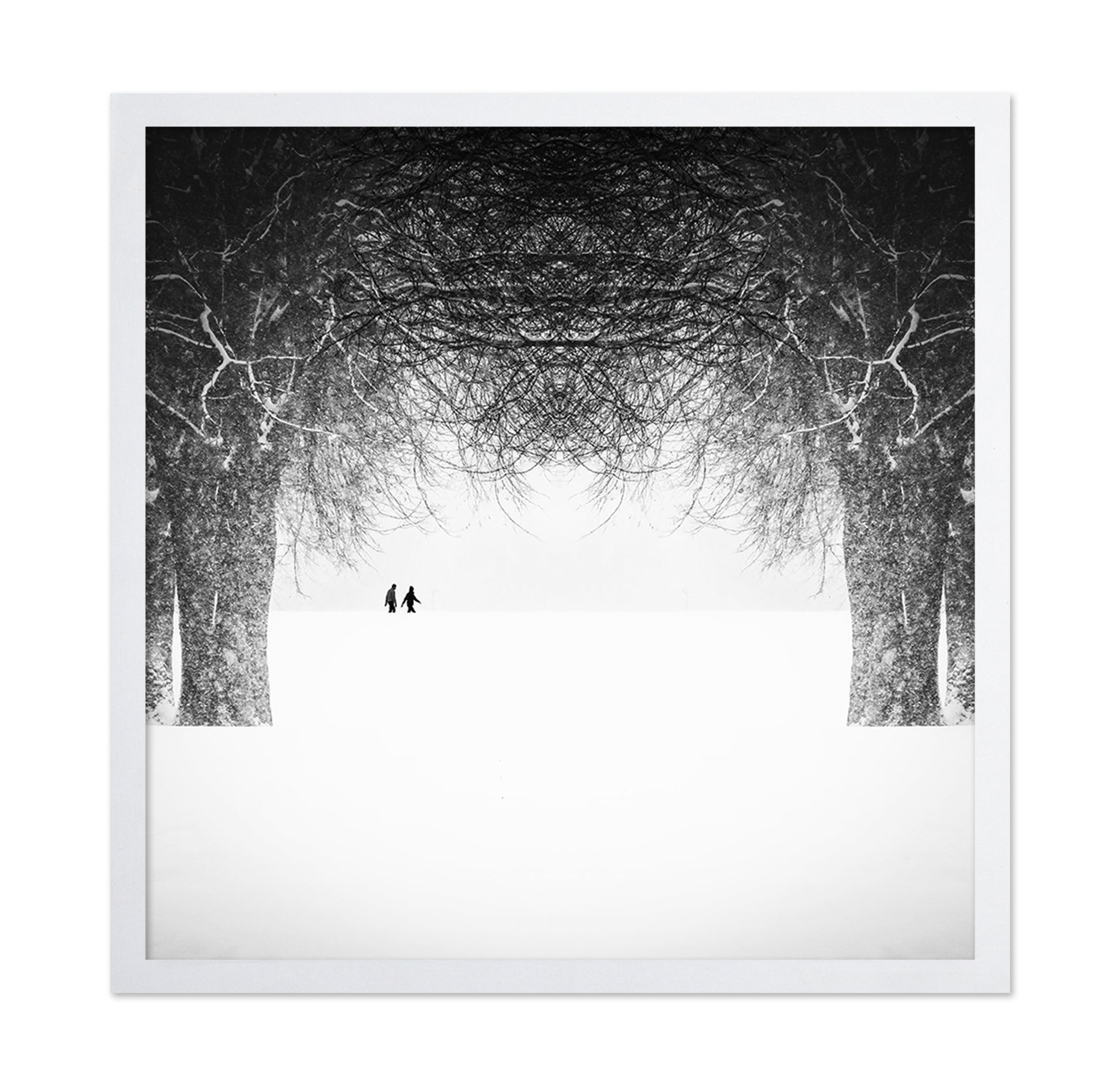 Winter Symmetry Walk