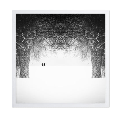 Winter Symmetry Walk
