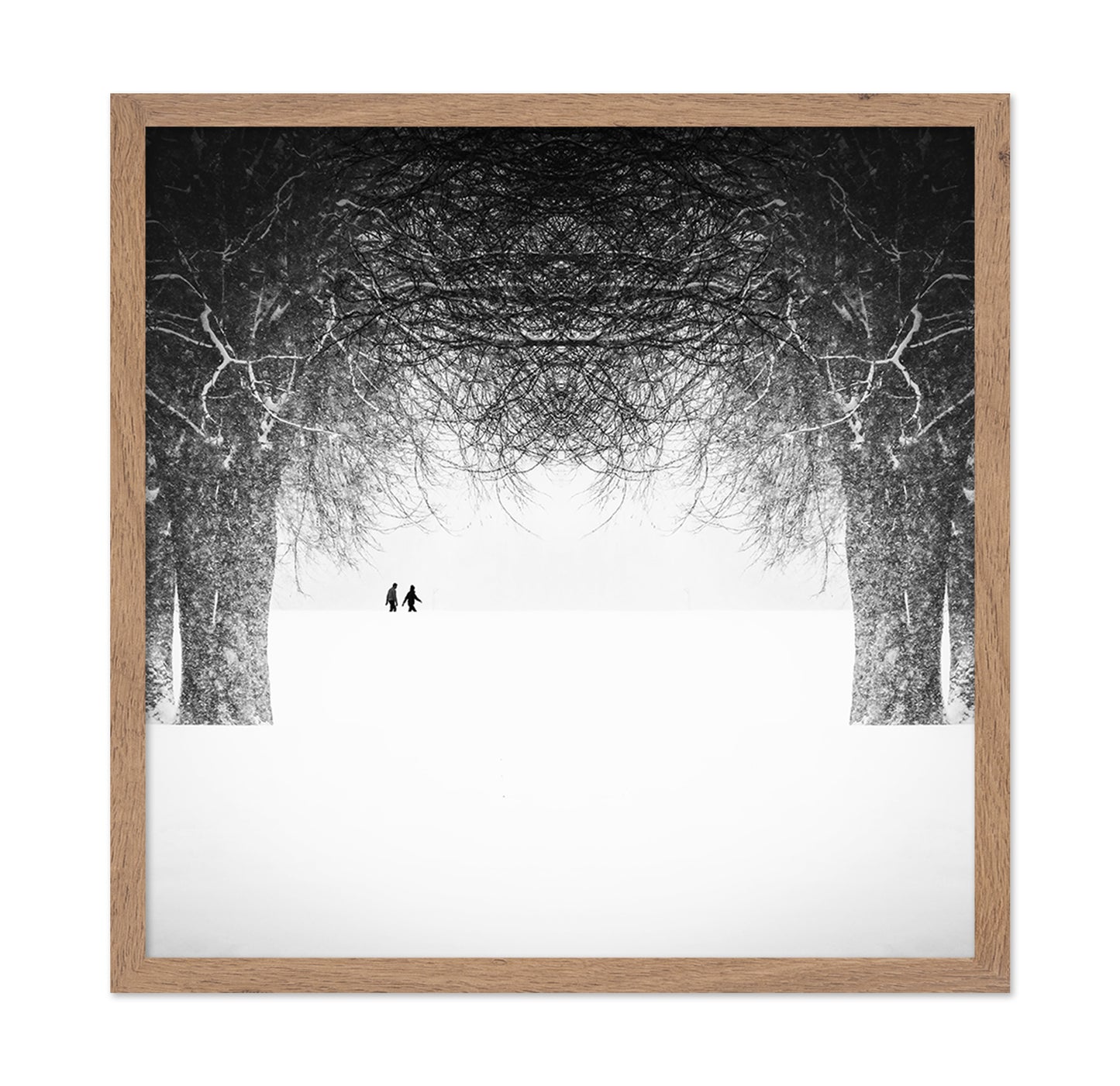 Winter Symmetry Walk