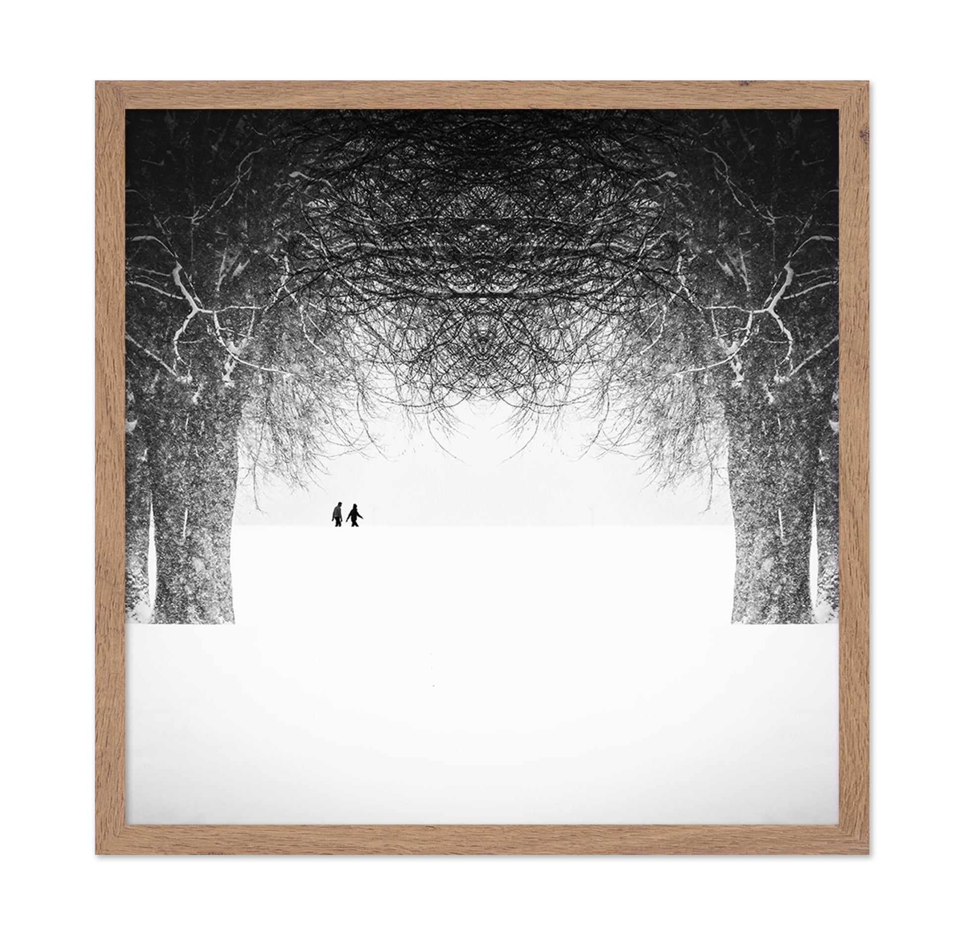 Winter Symmetry Walk