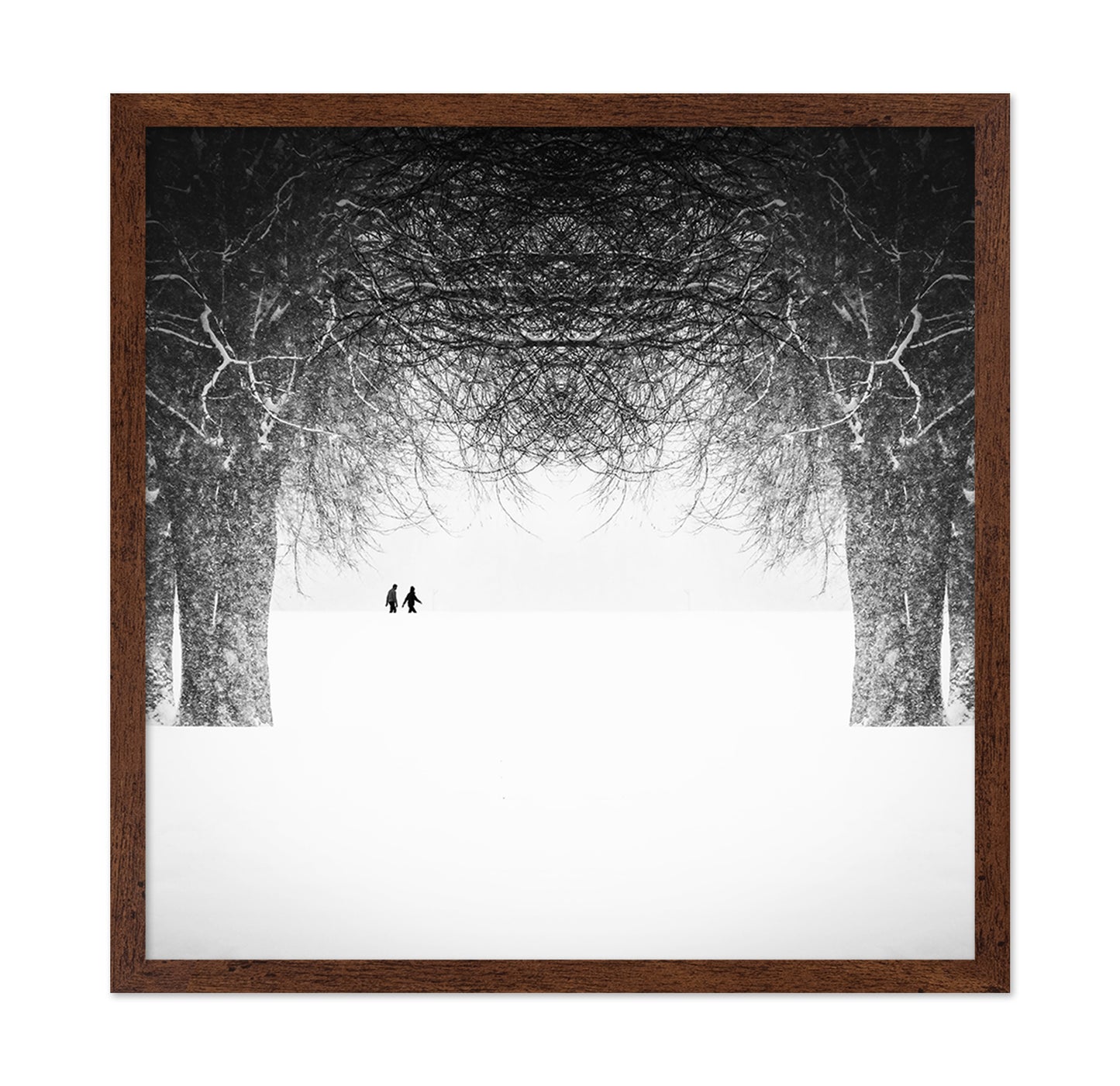 Winter Symmetry Walk