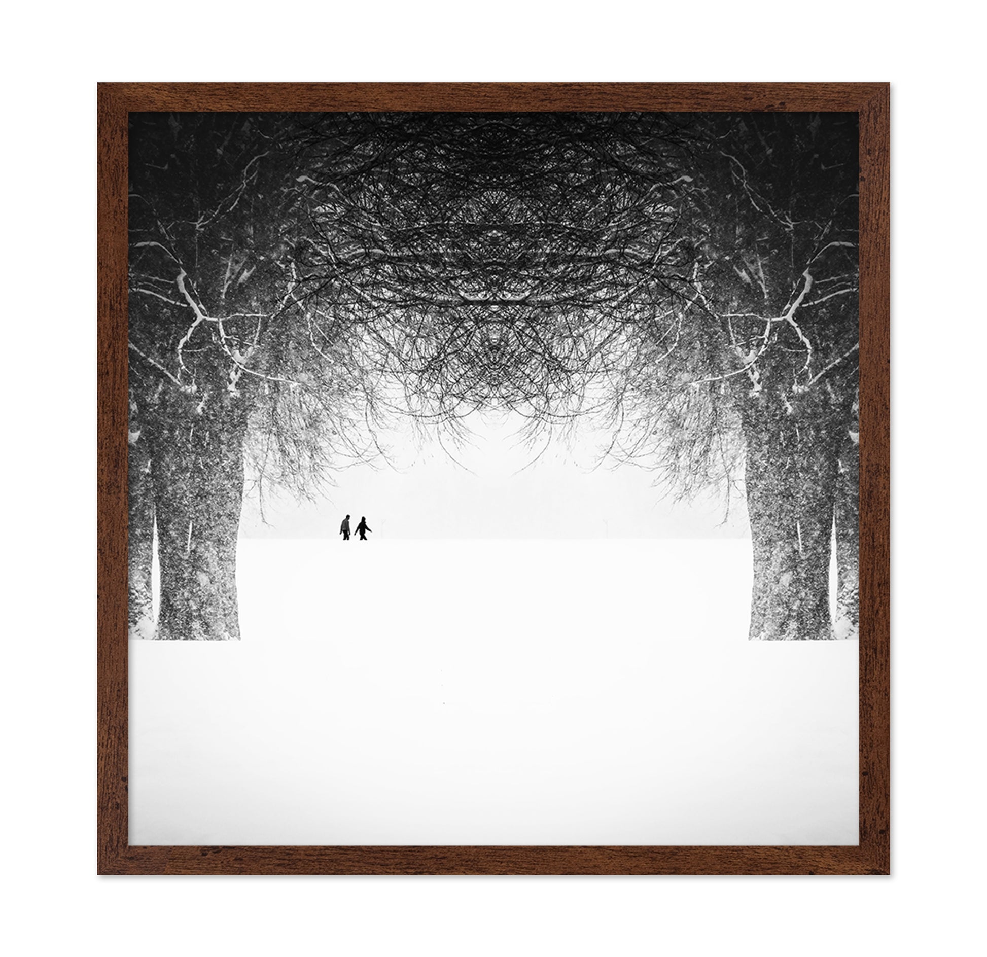 Winter Symmetry Walk