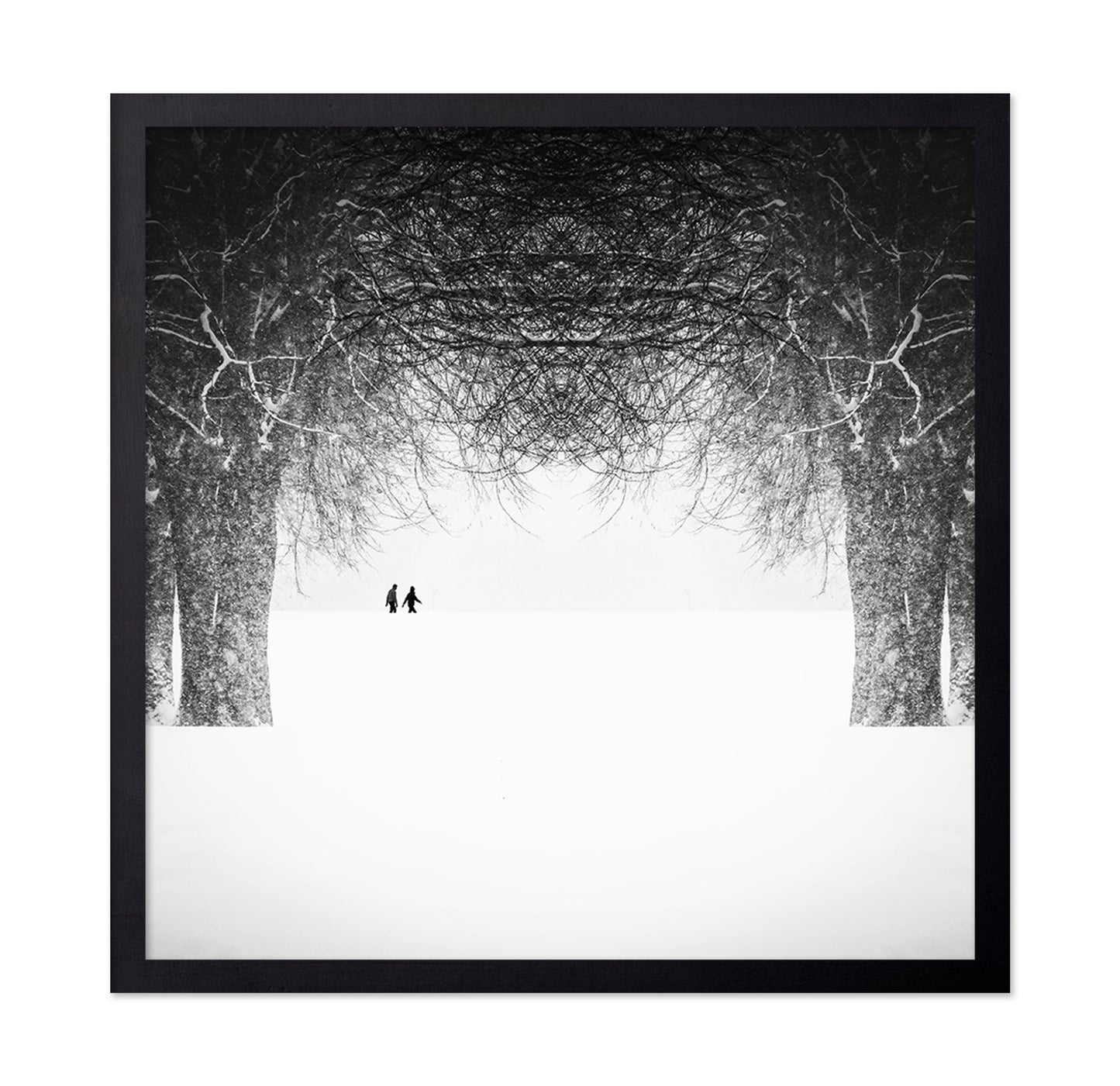 Winter Symmetry Walk