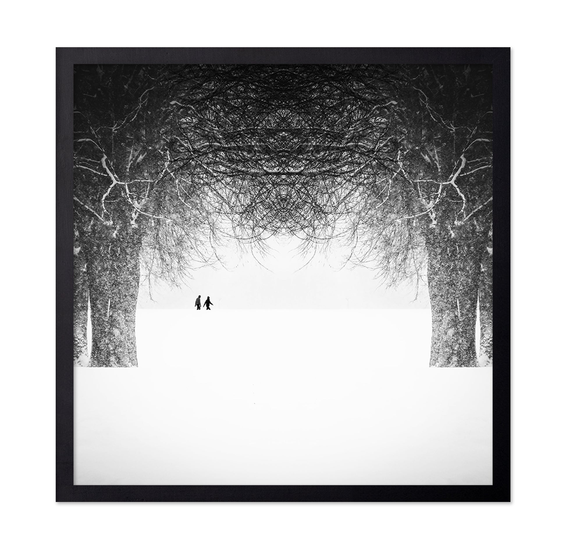 Winter Symmetry Walk