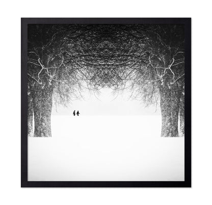 Winter Symmetry Walk