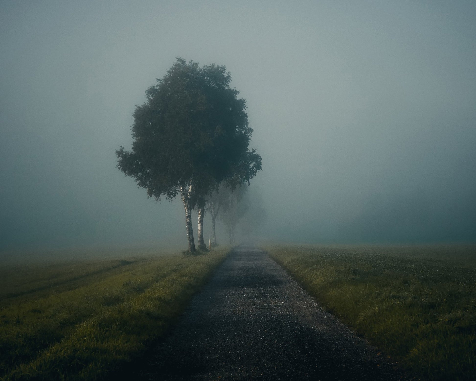 Misty Autumn Road