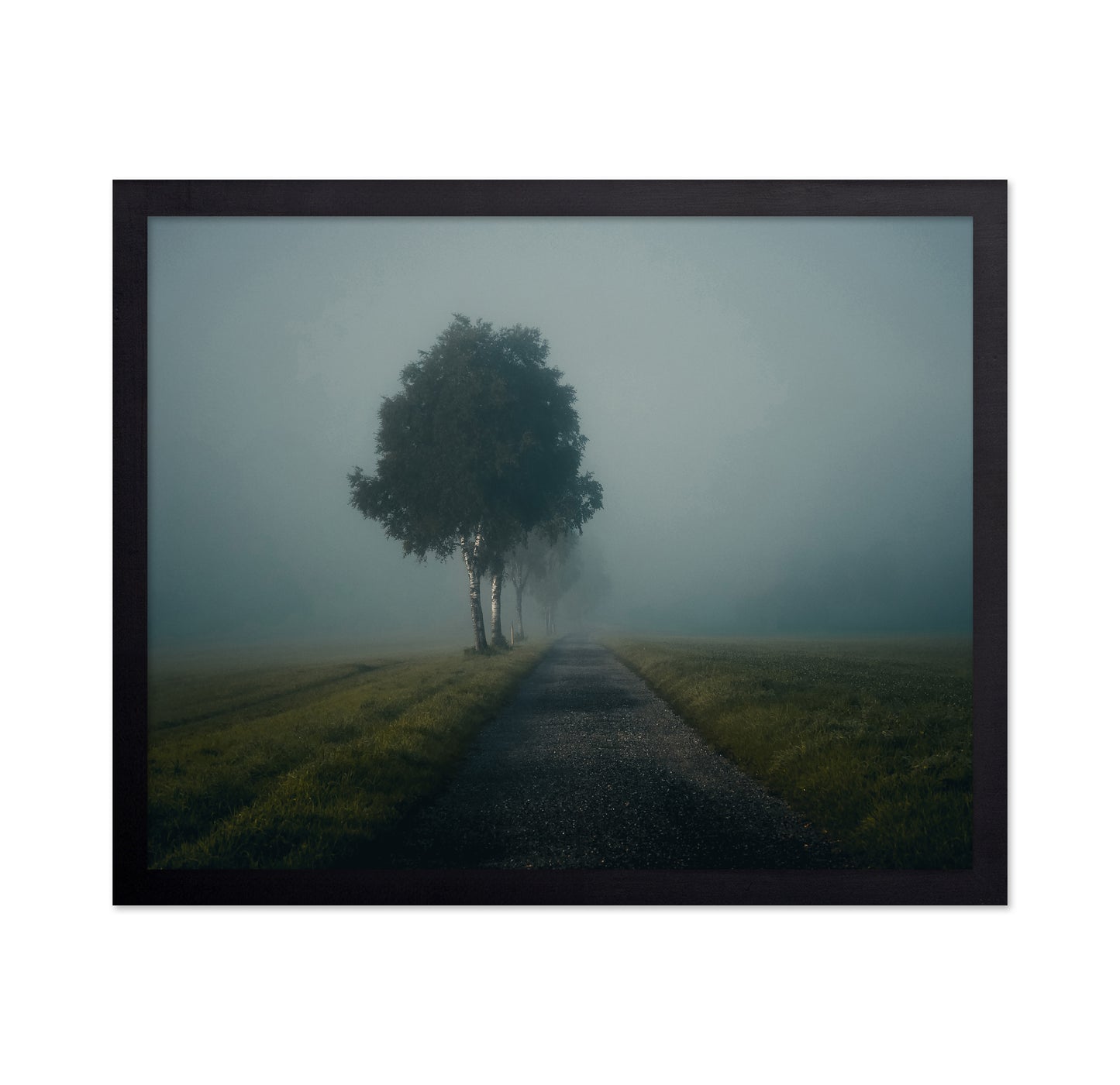 Misty Autumn Road