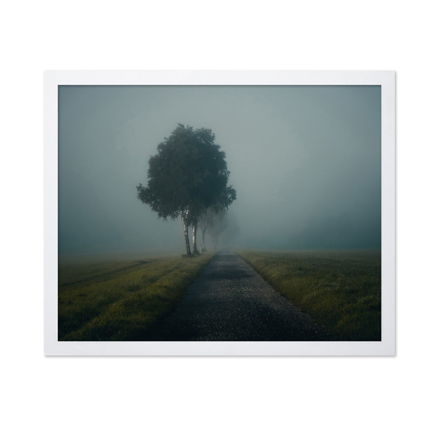 Misty Autumn Road