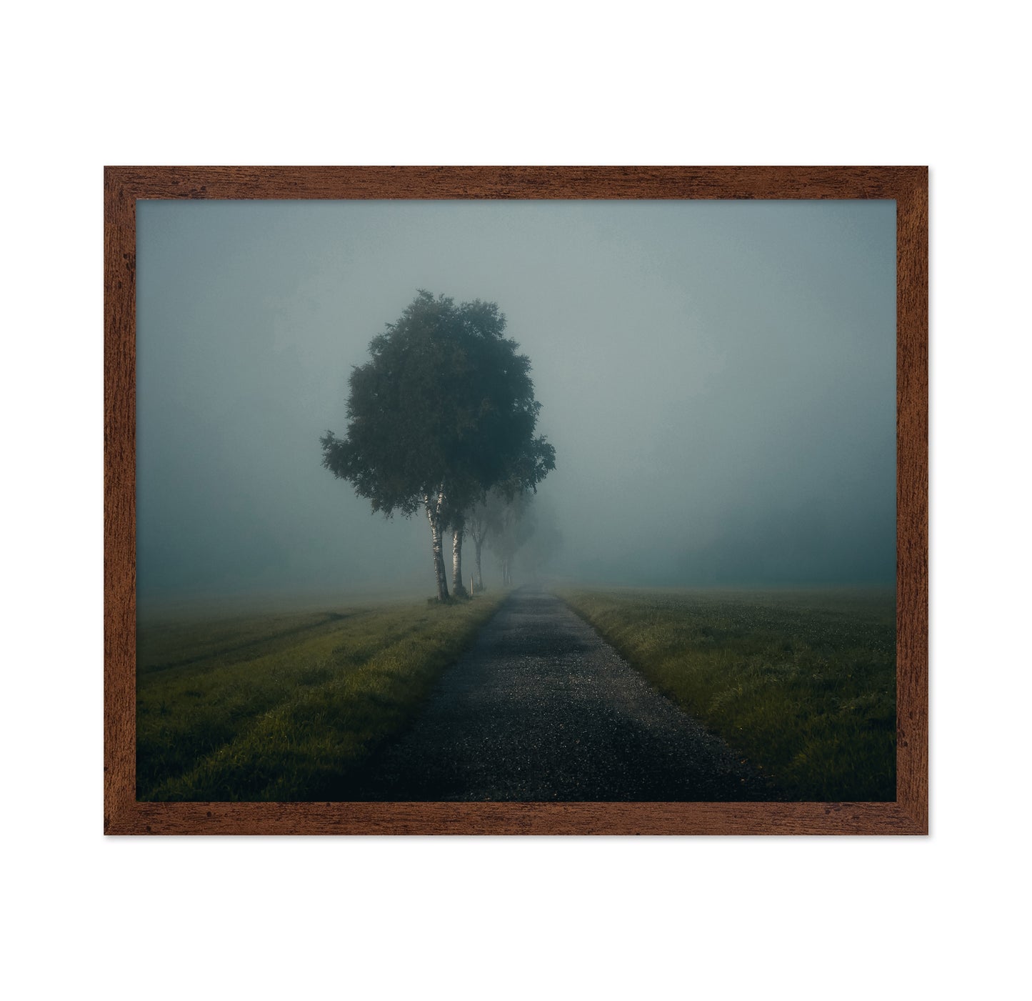 Misty Autumn Road