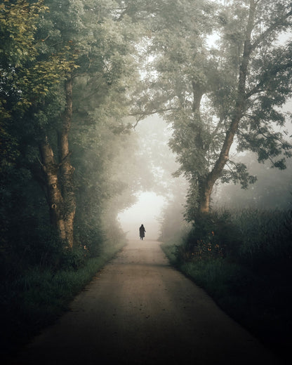 Lone Walk Through Mist