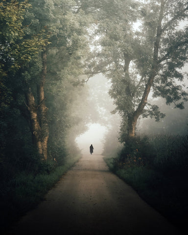 Lone Walk Through Mist