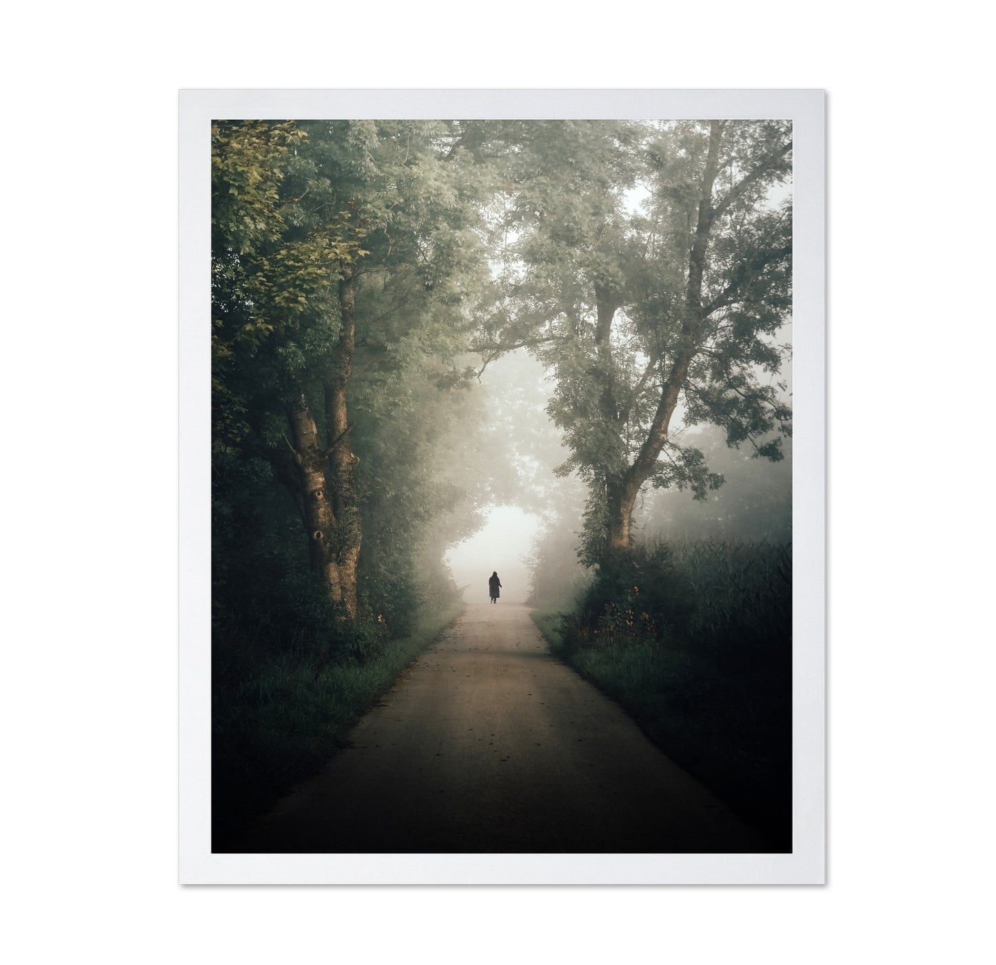 Lone Walk Through Mist