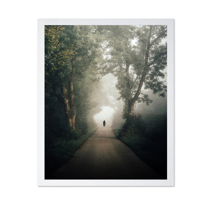 Lone Walk Through Mist
