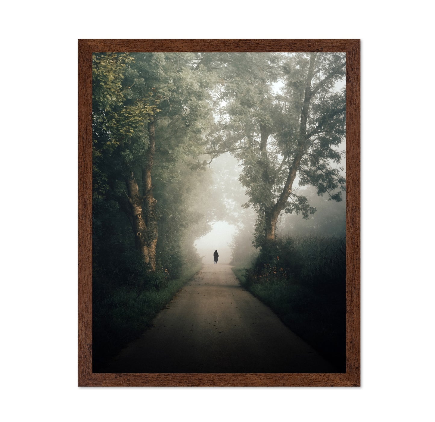 Lone Walk Through Mist
