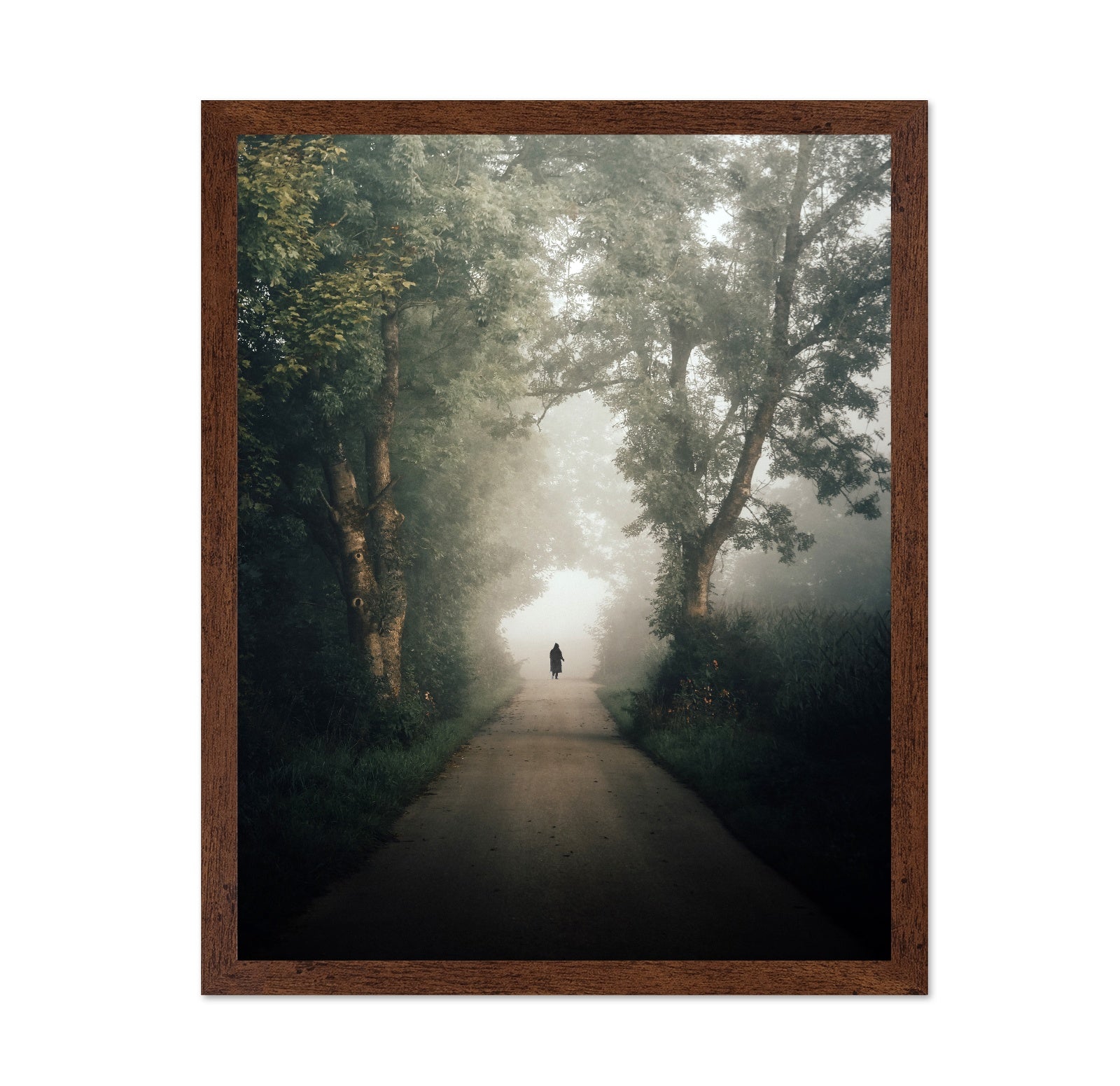 Lone Walk Through Mist