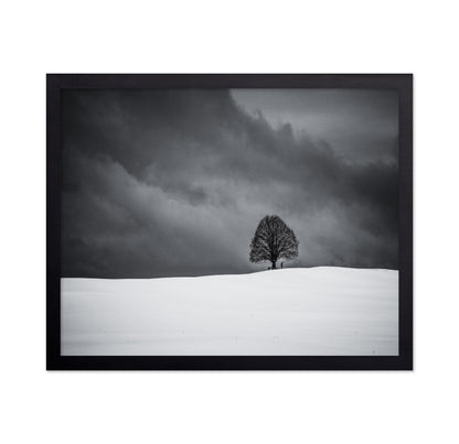 Solitary Winter Tree